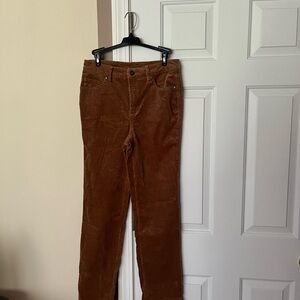 Style & Co. Women's Brown Jeans